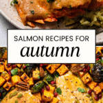 Salmon recipes for autumn.