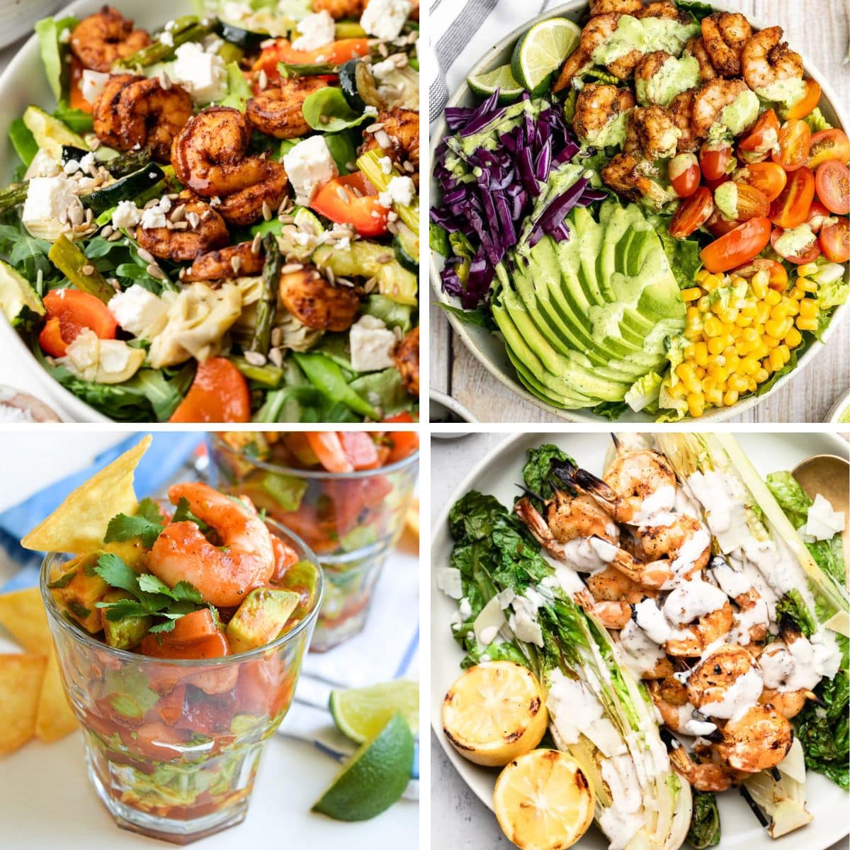 Prawn and shrimp salad recipes.
