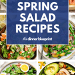 Spring salad recipes.